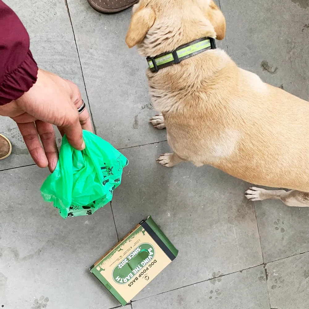 Goofy Tails Dog Poop Bags (100 Bags) | Biodegradable and Compostable | Leak Proof Eco - Friendly Pet Waste Disposable Bags (33cm x 23cm)