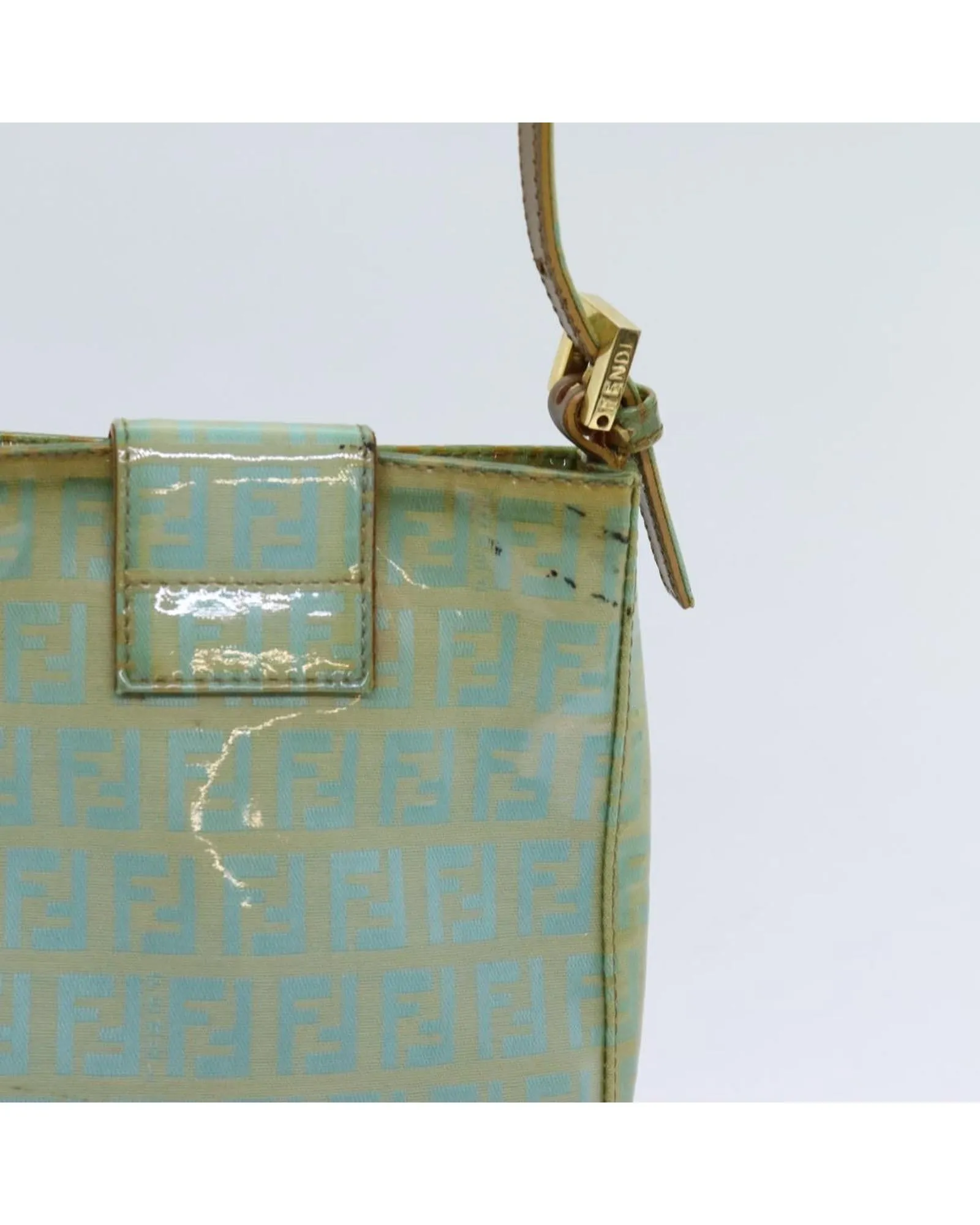 Green Canvas Hand Bag - FENDI